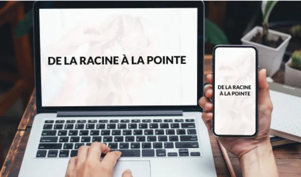Nouveau support de communication web, Blausasc, De la Racine à la Pointe